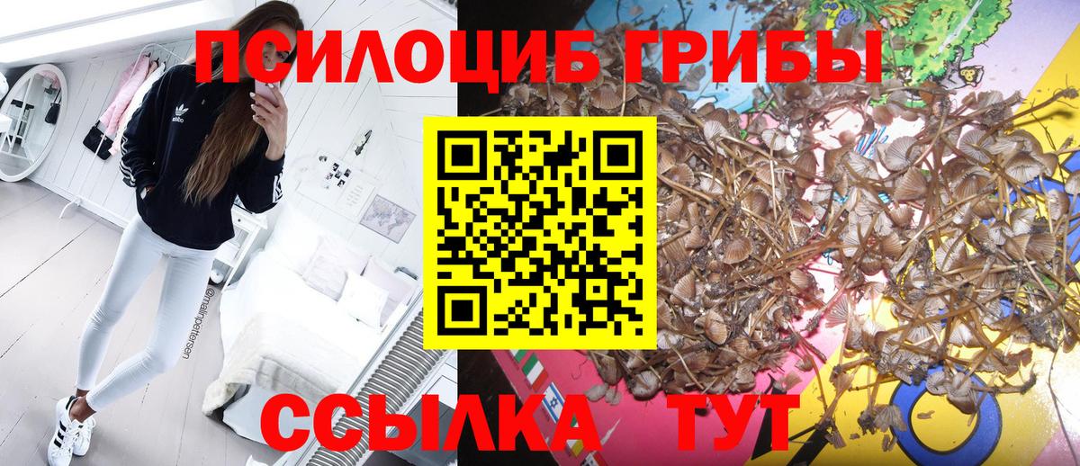 Холмск  Галлюциногенные грибы MAGIC MUSHROOMS  Вход с VPN  Псилоцибиновые грибы Cubensis 
