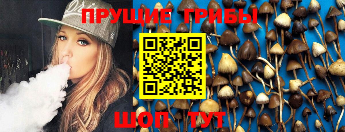 Псилоцибиновые грибы прущие грибы Холмск